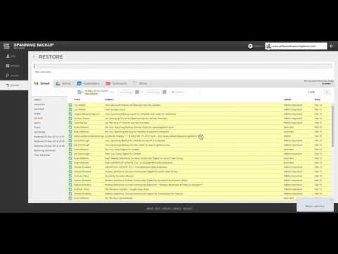 Spanning Backup for G Suite: Product Demo